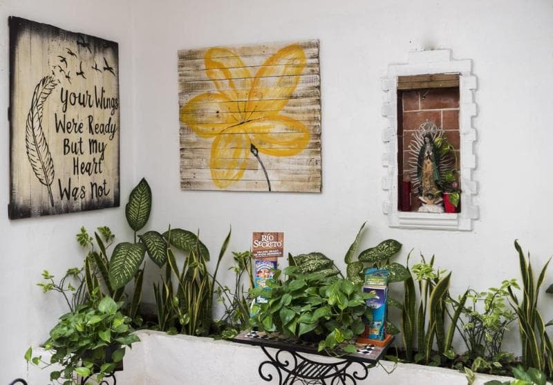 Coconut Hotel Boutique 5