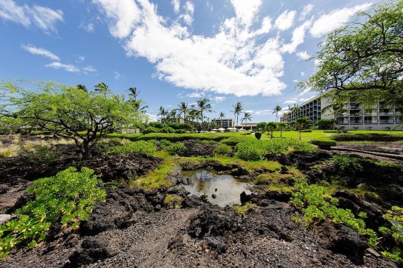 Marriotts Waikoloa Ocean Club 3