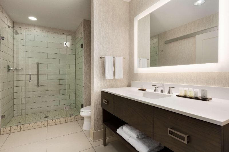 Embassy Suites by Hilton San Antonio Brooks Hotel & Spa 4