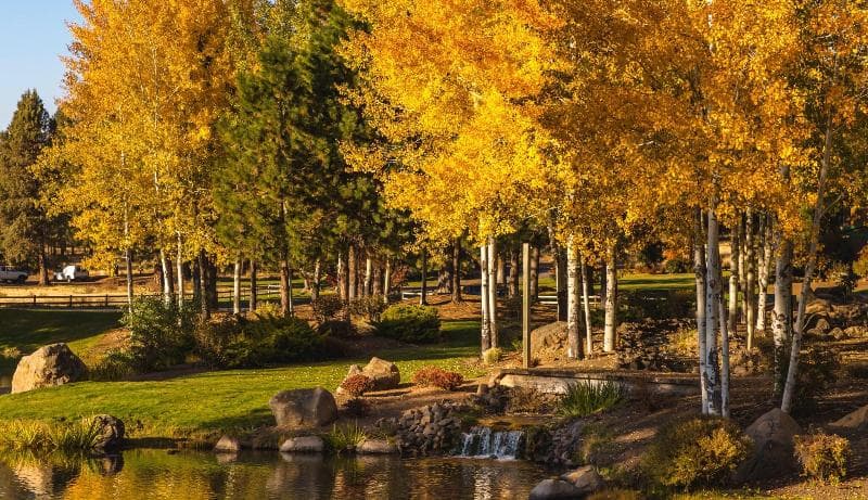 Running Y Ranch Resort 5