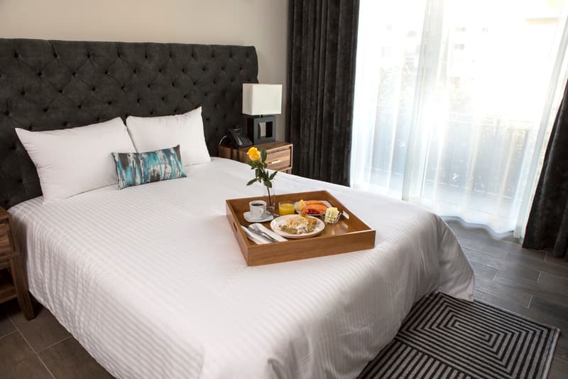 Suites Rio Elba 5