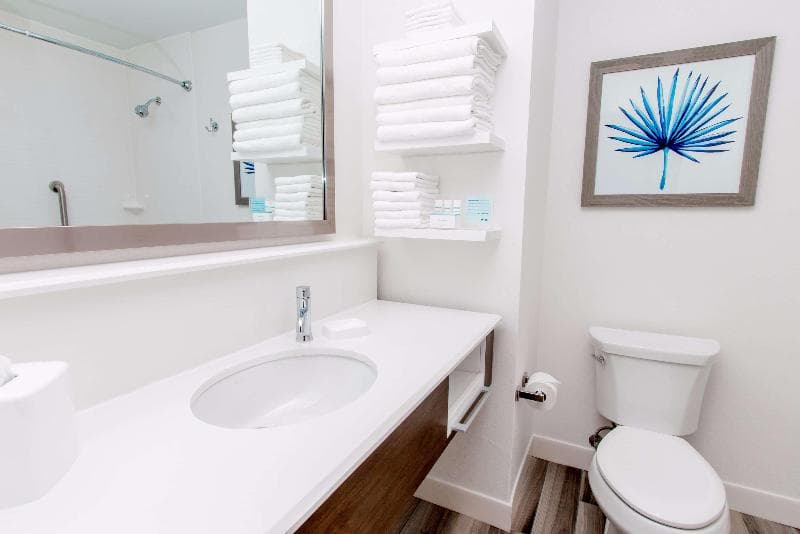 Hampton Inn & Suites Panama City Beach/Beachfront, Fl 4