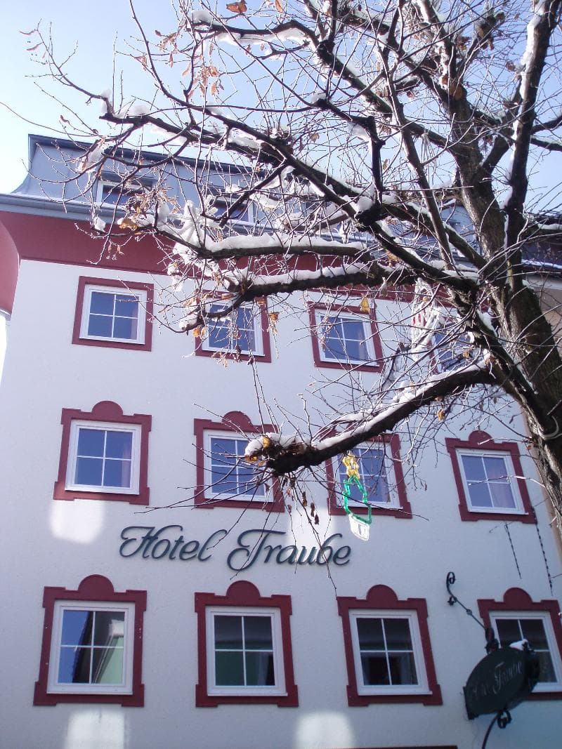 Hotel Traube main