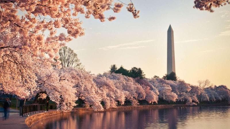 Hyatt Place Washington DC White House 2