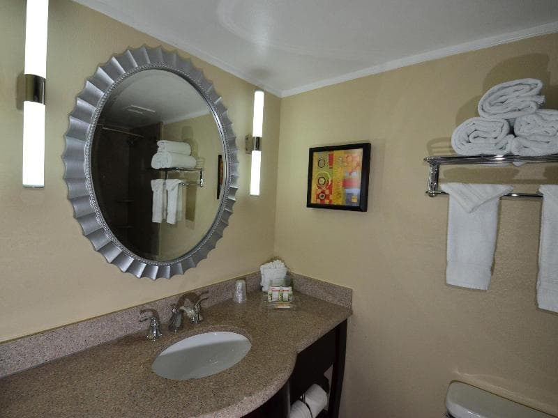 Holiday Inn Orlando East - UCF Area photo 1