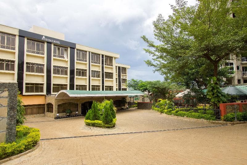 Pinecone Hotel 3