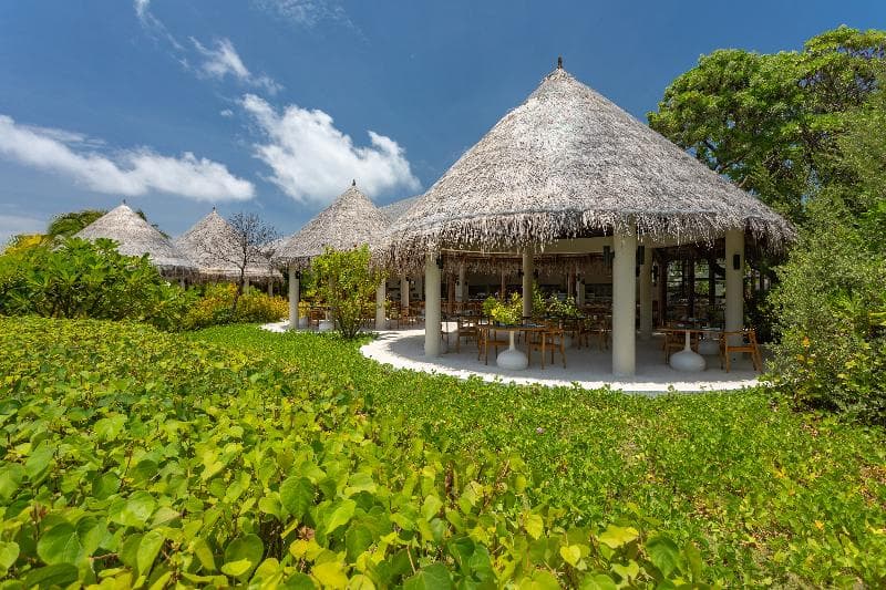 Cocoon Maldives 4