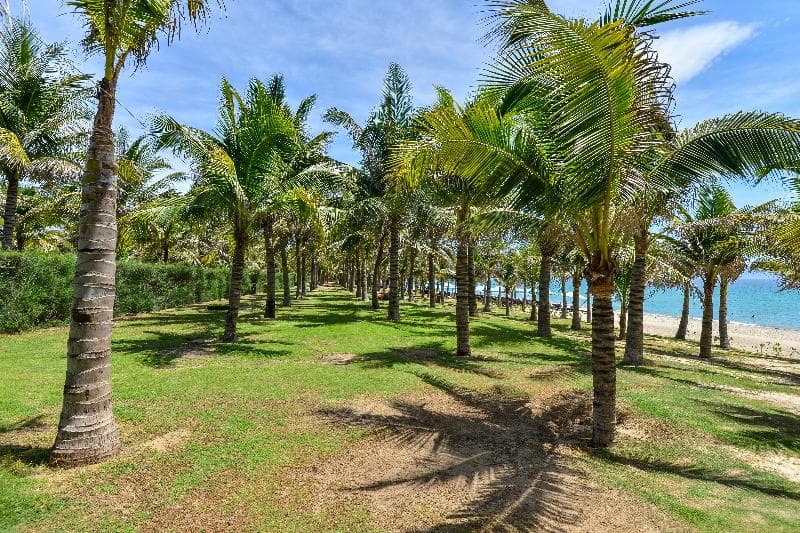 Eastin Duyen Ha Resort Cam Ranh 3