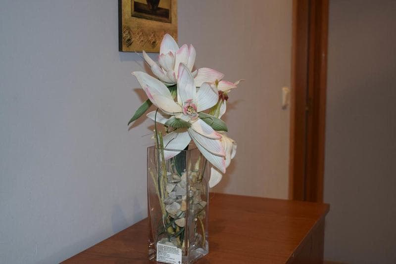 Apartamentos Vida Versus photo 1