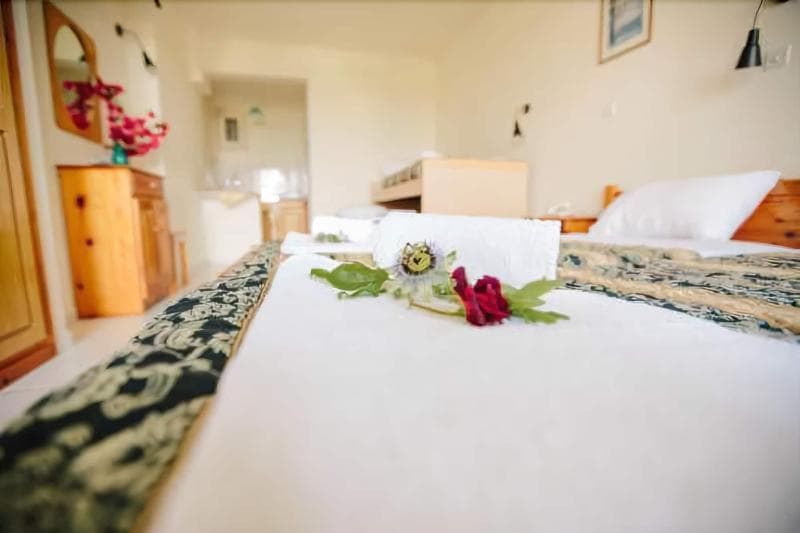 Avra Paradise Aparthotel 4