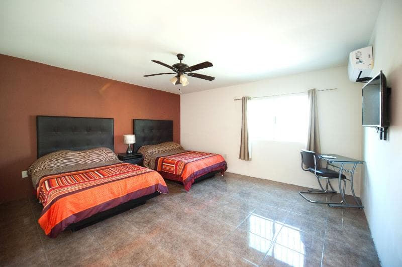 Econosuites Monterrey main