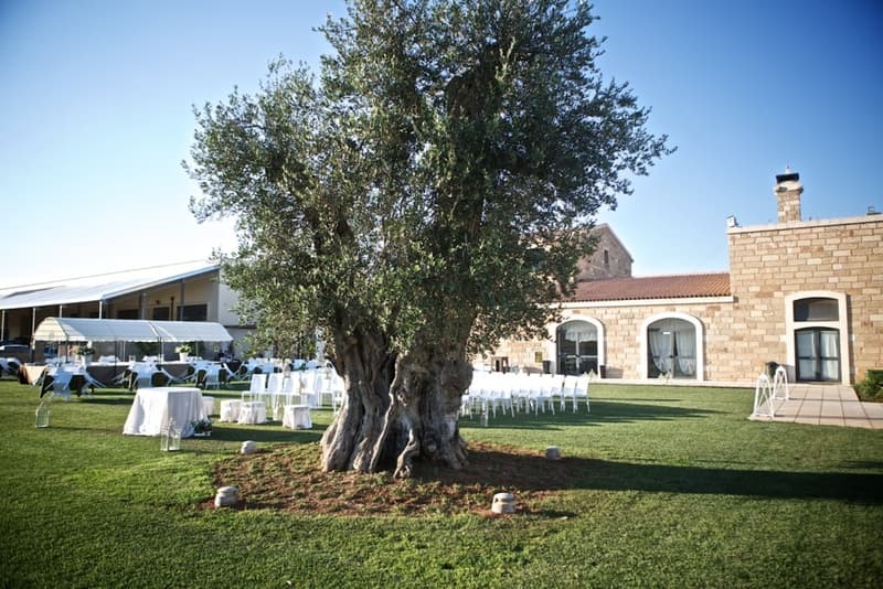Masseria Stali photo 1