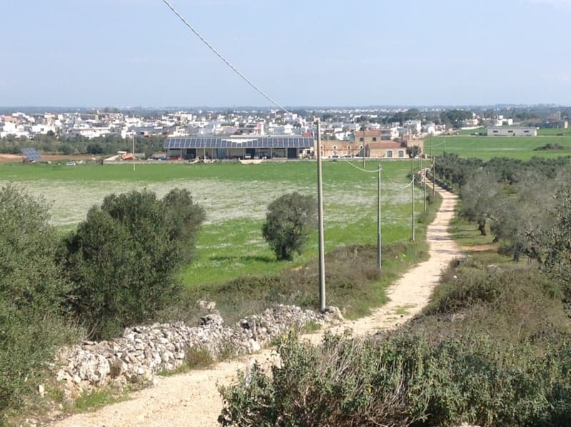 Masseria Stali 4
