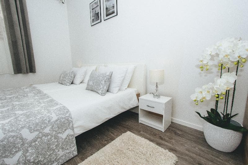 Hostel Globo (Adults Only) main