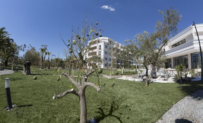Rawda Resort Hotel Altinoluk 3