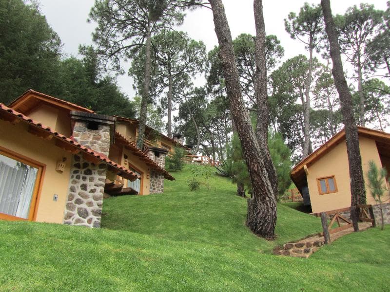 Bosque Escondido 2