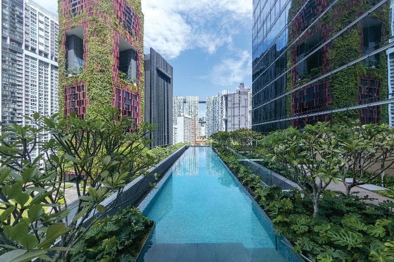 Sofitel Singapore City Centre 2