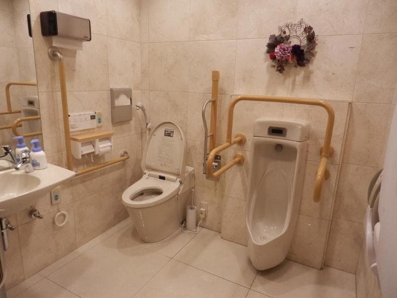 Toyoko Inn Maibara-Eki Shinkansen Nishi-Guchi 2