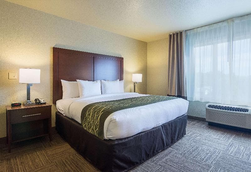 Comfort Inn Crystal Bridges Bentonville 3