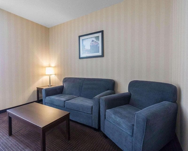 Comfort Inn & Suites 3
