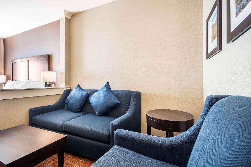 Comfort Inn & Suites 3