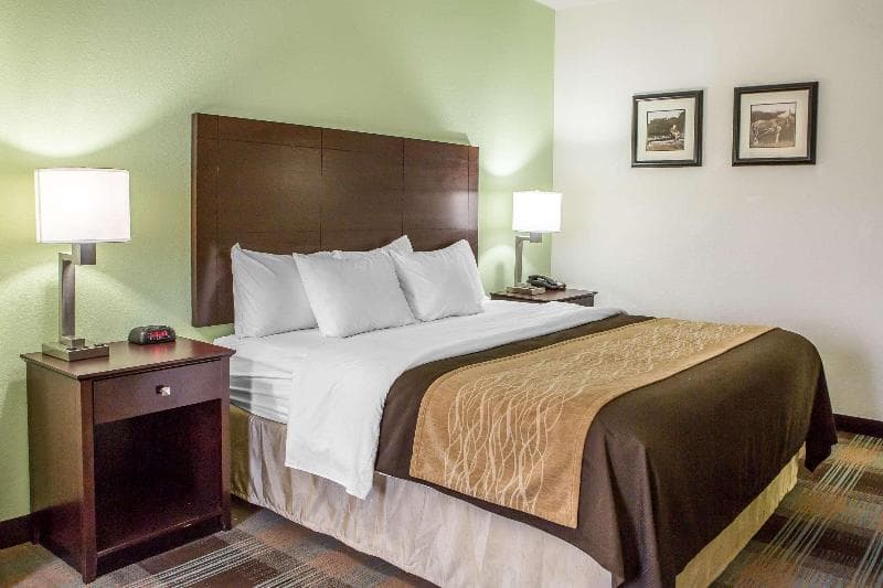 Comfort Inn photo 1