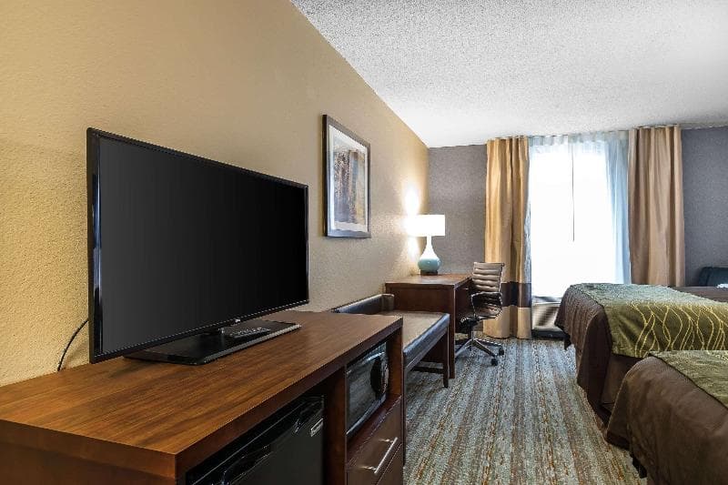 Comfort Inn Bay City - Riverfront 4