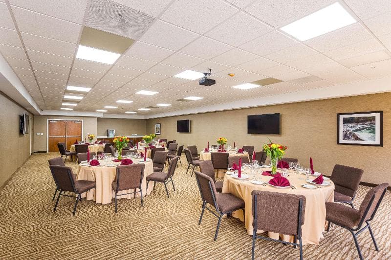 Comfort Suites Greenville South 4