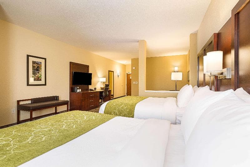 Comfort Suites Greenville South 5