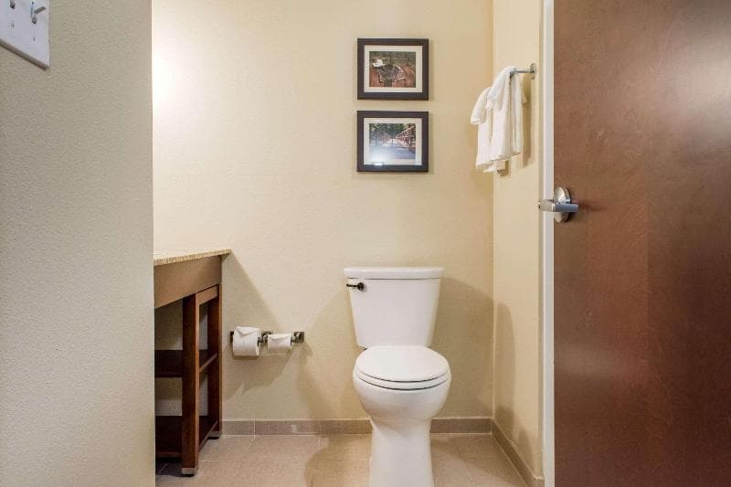 Comfort Suites photo 1