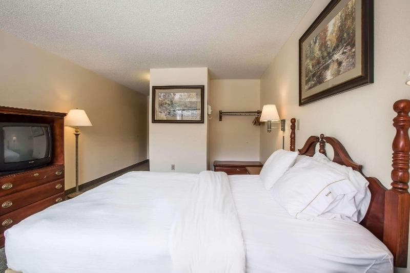 Quality Inn 4
