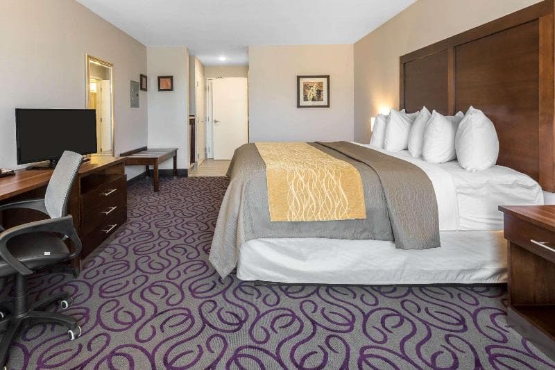 Comfort Inn & Suites photo 1