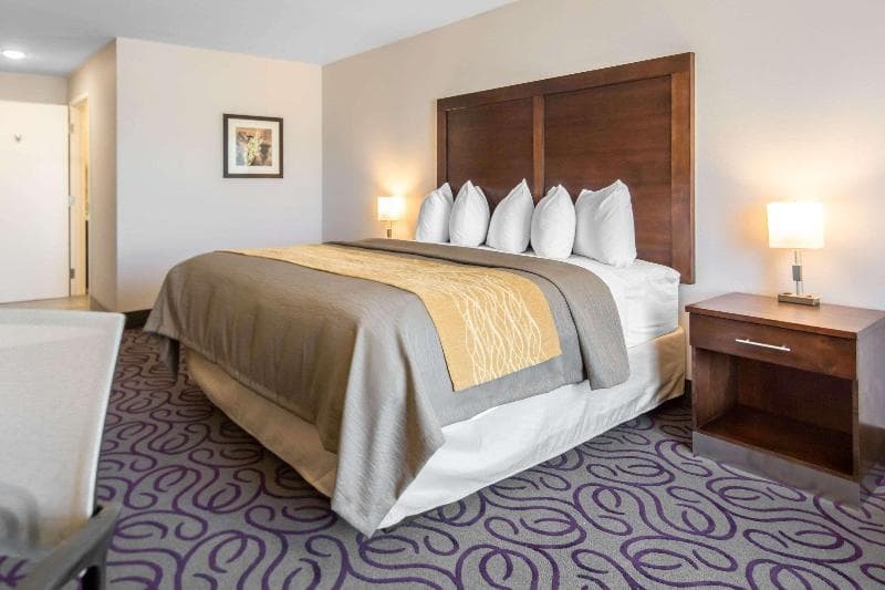 Comfort Inn & Suites 2