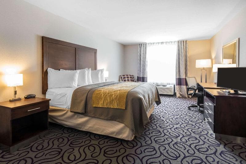 Comfort Inn & Suites 3
