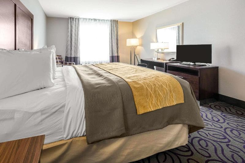 Comfort Inn & Suites 4