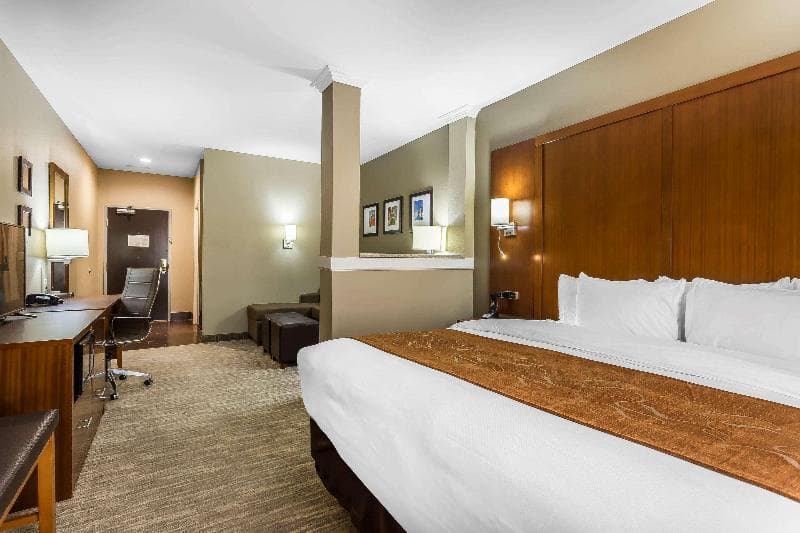 Comfort Suites University 4