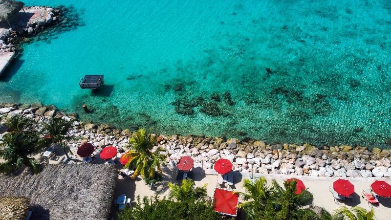 Coral Estate Luxury Resort photo 1
