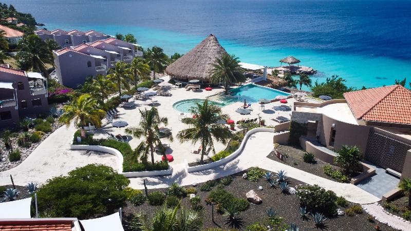 Coral Estate Luxury Resort 2