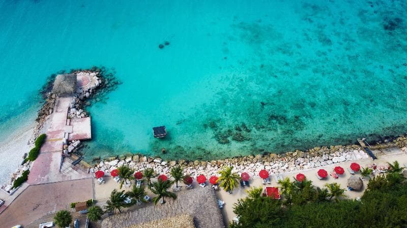 Coral Estate Luxury Resort 3