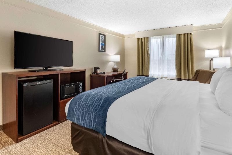 Comfort Inn & Suites photo 1