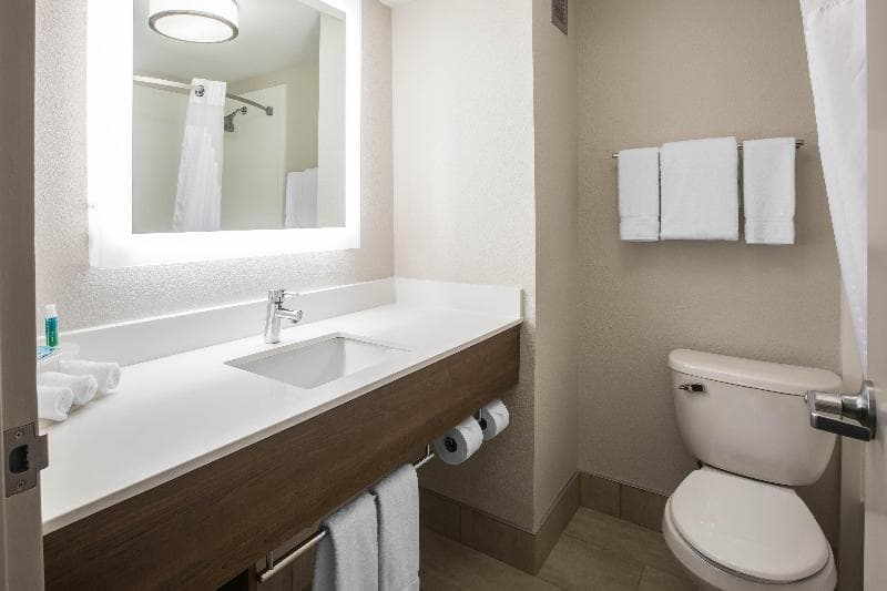 Holiday Inn Express And Suites Ludington 5
