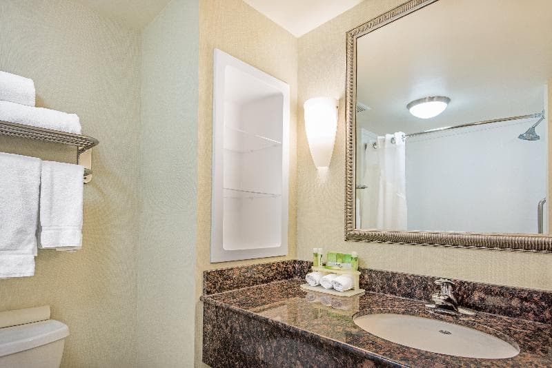 Holiday Inn Express And Suites Clute Lake Jackson 3