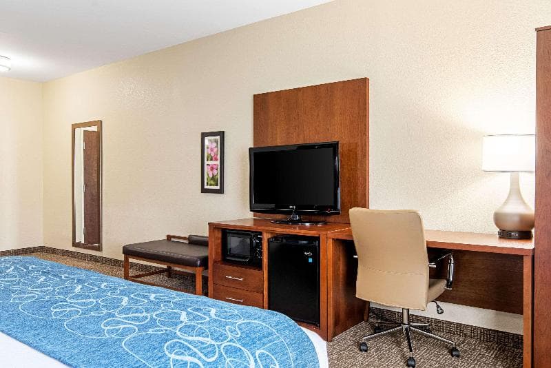 Comfort Inn & Suites Pine Bluff 3
