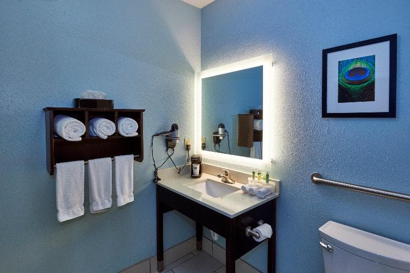 Holiday Inn Express & Suites Birmingham South - Pelham 3
