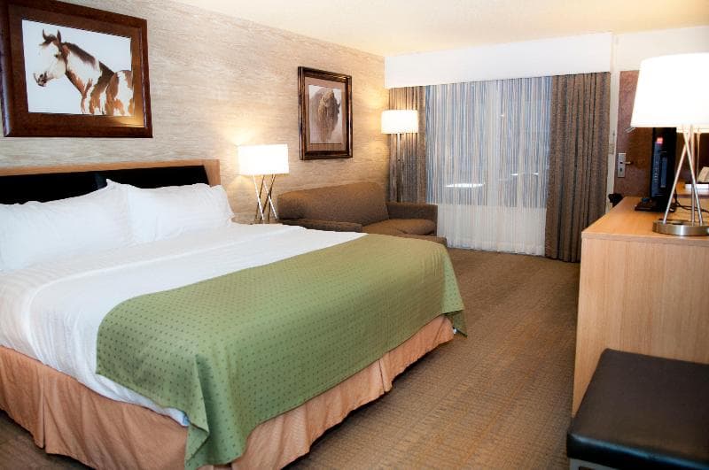 Holiday Inn Spearfish Convention Center 5