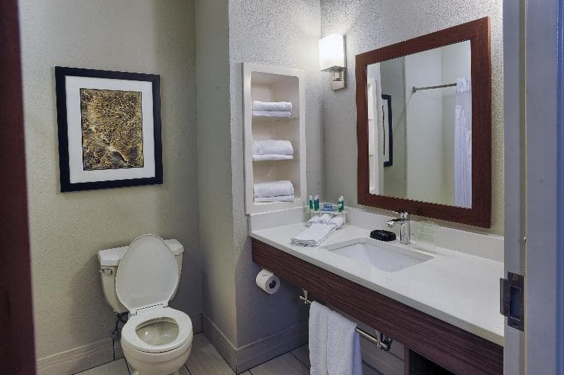 Holiday Inn Express & Suites Pell City photo 1