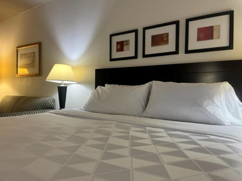 Holiday Inn Hotel & Suites Springfield - I-44 4