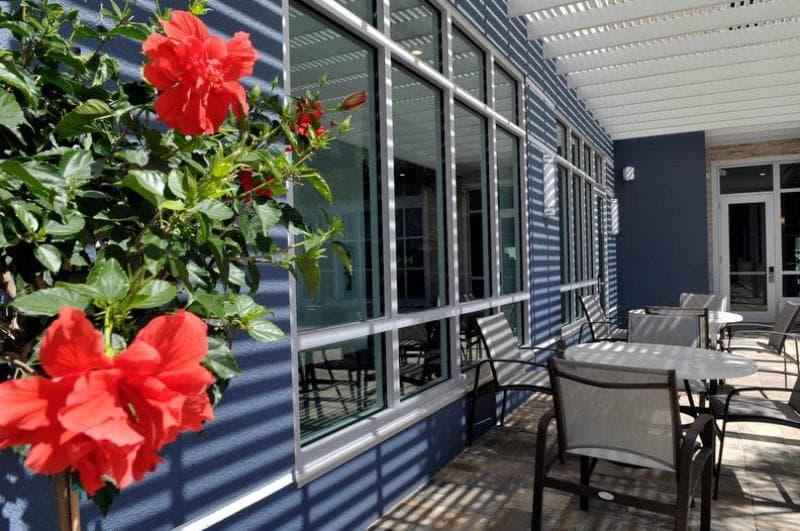 Staybridge Suites St. Petersburg Downtown 4