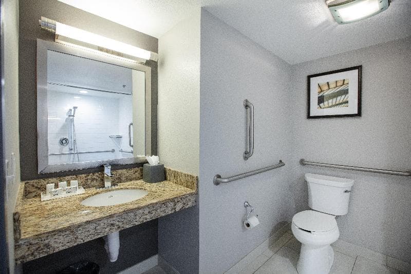 Holiday Inn St Louis Sw Route 66 5