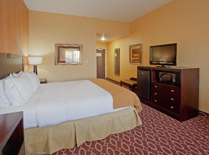 Holiday Inn Express & Suites Sacramento NE Cal Expo 3